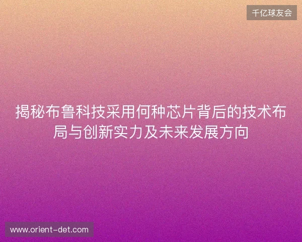 揭秘布鲁科技采用何种芯片背后的技术布局与创新实力及未来发展方向